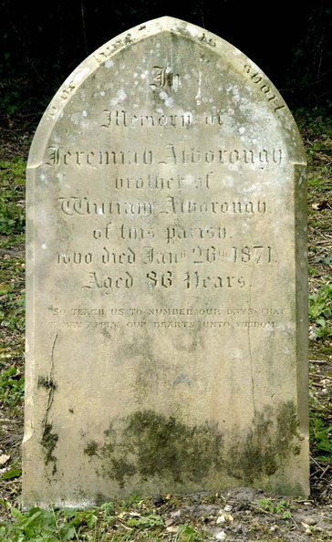 ALBOROUGH Jeremiah 1871.jpg